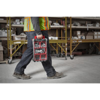 PACKOUT Organiser Compact, inkl. Sortierboxen, 250 x 380 x 1