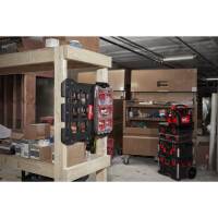 PACKOUT Organiser Compact, inkl. Sortierboxen, 250 x 380 x 1